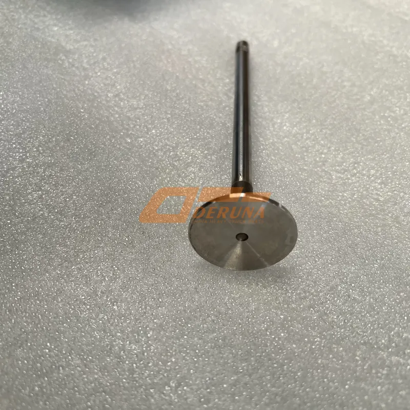 612630050146 Intake Valve