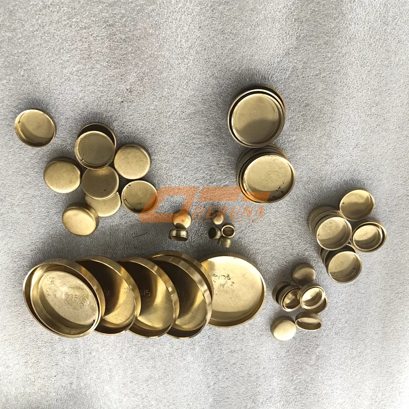 90003989210 Engine Block Plug (Set) Wd615