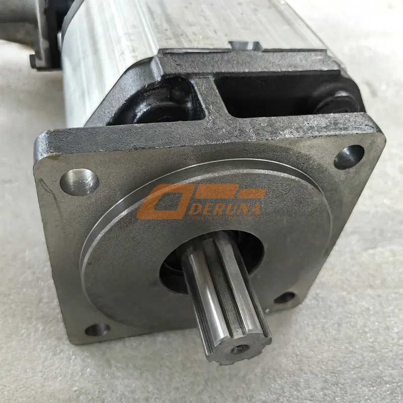 CBD-F100+33Q-E32 Body Lift Pump Cbd-F100 With Valve