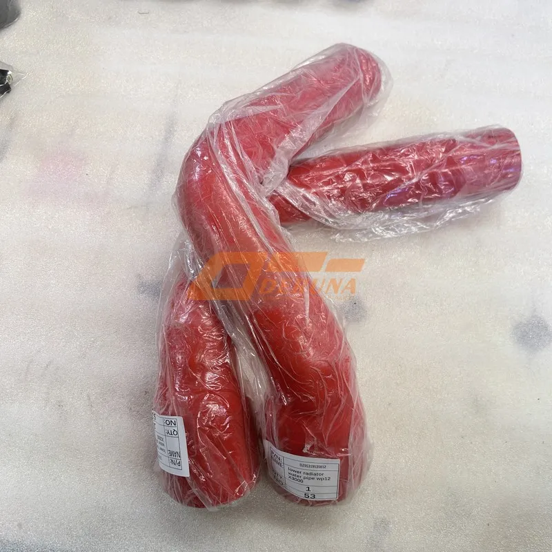 DZ95319535812 Lower Radiator Water Pipe WP12 X3000