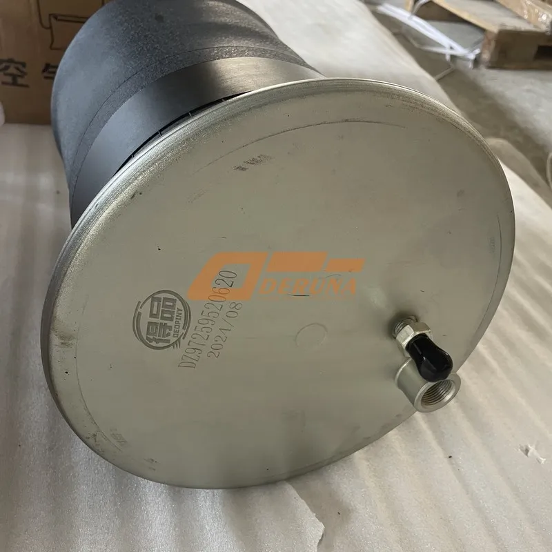 DZ9M189520008 Rear Axle Front Airbag