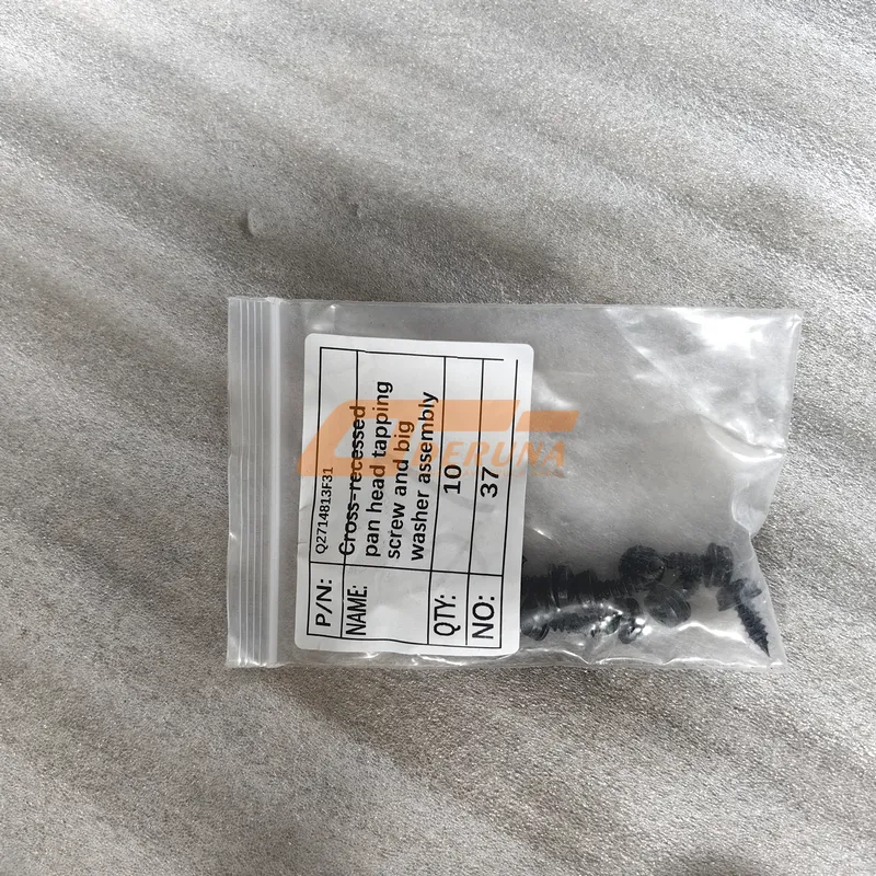 Q2714813F31 Cross-Recessed Pan Head Tapping Screw And Big Washer Assembly