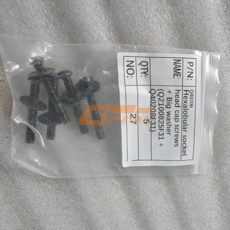 Q40206 Hexalobular Socket Head Cap Screws + Big Washer (Q2100825F31 + Q40208F31)