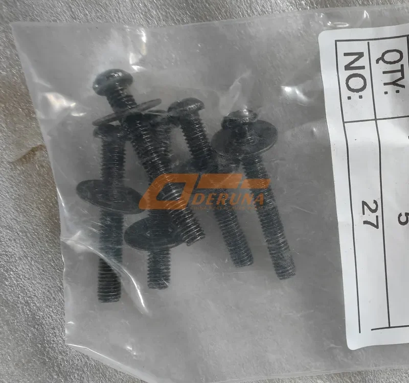 Q40206 Hexalobular Socket Head Cap Screws + Big Washer (Q2100825F31 + Q40208F31)