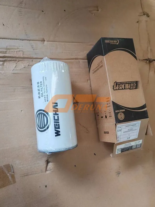 1000424655A Oil Filter Wd615WP101213