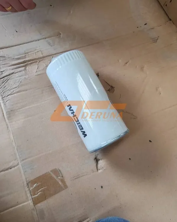 1000424655A Oil Filter Wd615WP101213