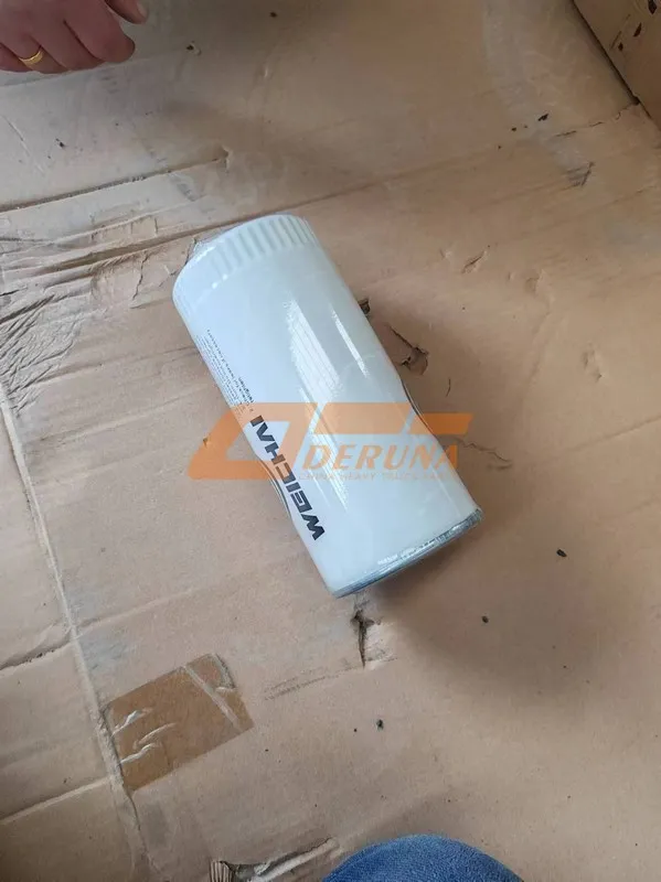 1000424655A Oil Filter Wd615WP101213