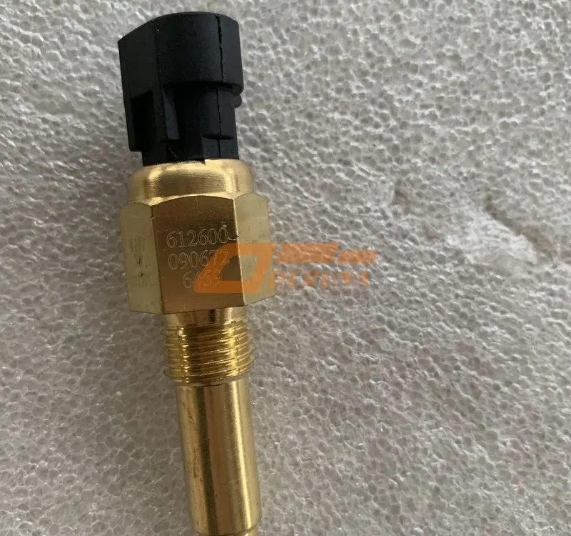 612600090672 WP10 Euro3 Temperature Sensor