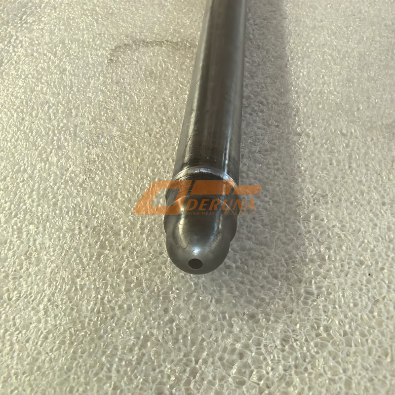 1000495066 Tappet For Wp12 Euro5 430Hp X3000