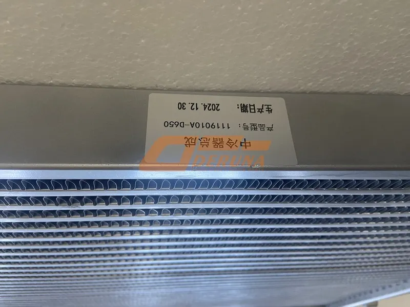 1119010A-D650 Intercooler Assembly