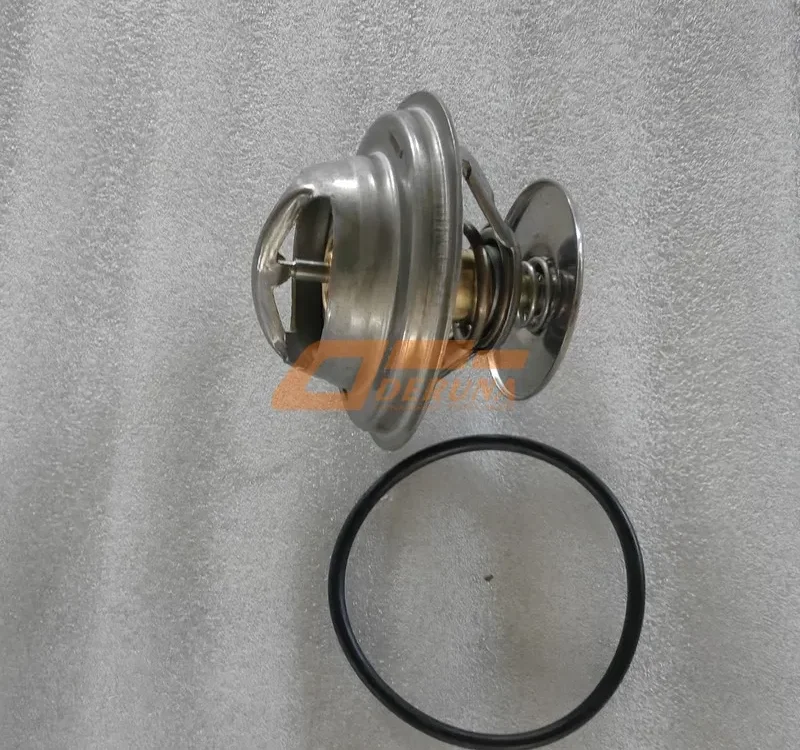 610800060597 Thermostat