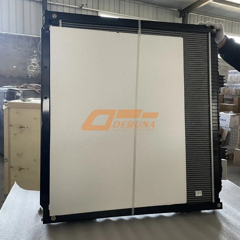 812W06100-0003 Center Radiator Assembly