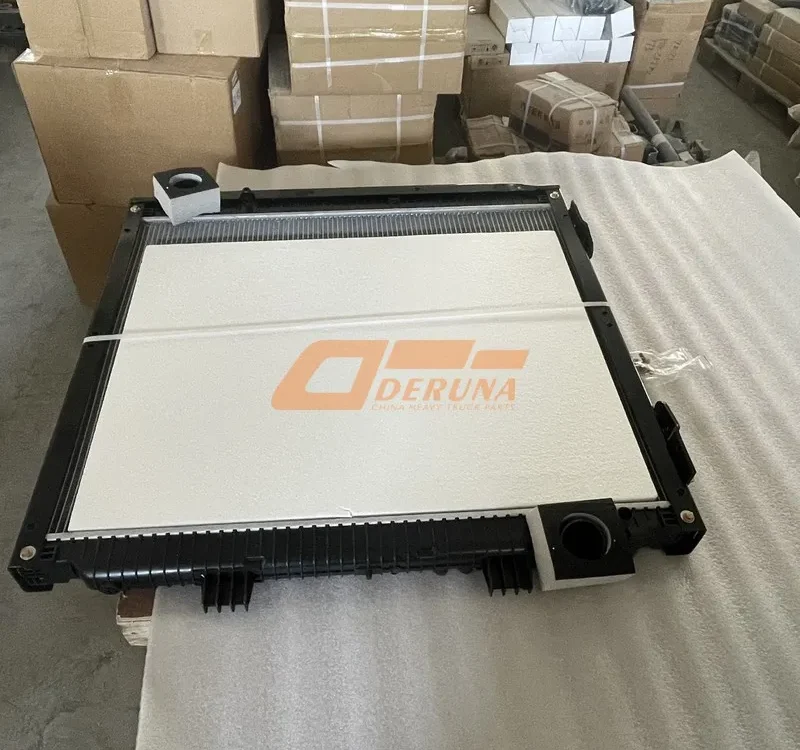 812W06100-0003 Center Radiator Assembly