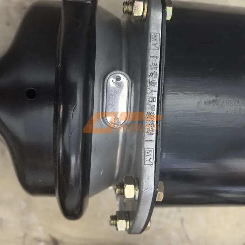 DZ91189360020 Left/Right Rear Hub Accumulators