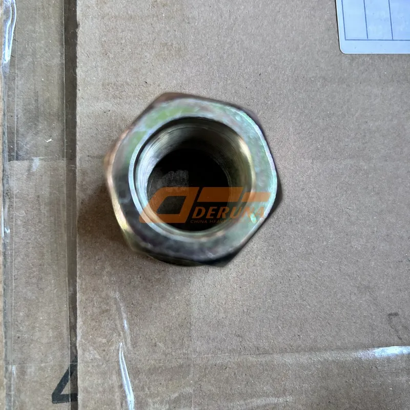 DZ91259527024 M24×1.5 -10+Dtf Hex Flange Nut M24×1.5 -10
