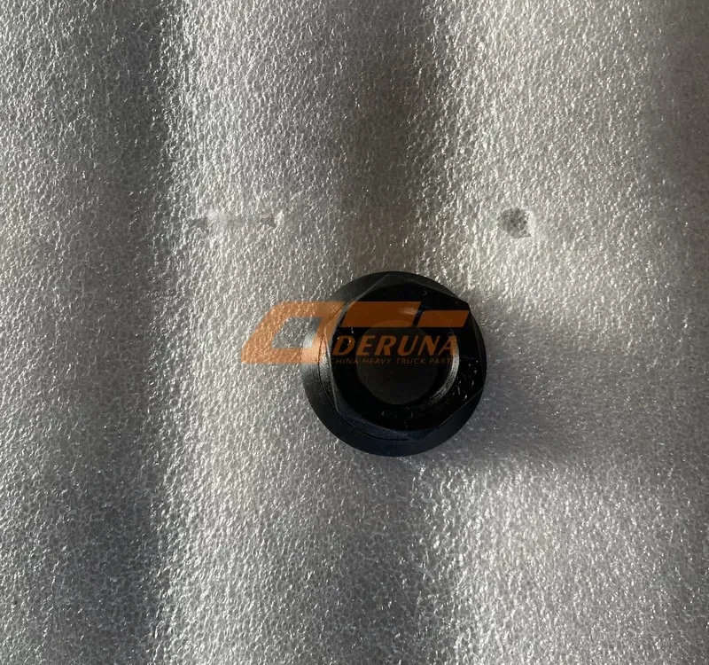 DZ95189611300 Nut