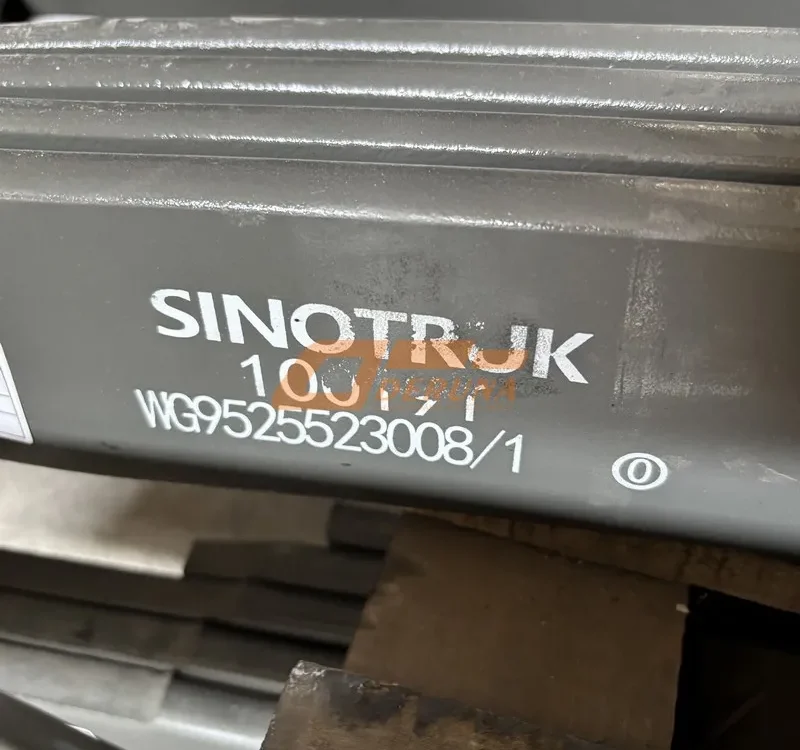 WG9525523008 Complete Spring Rear