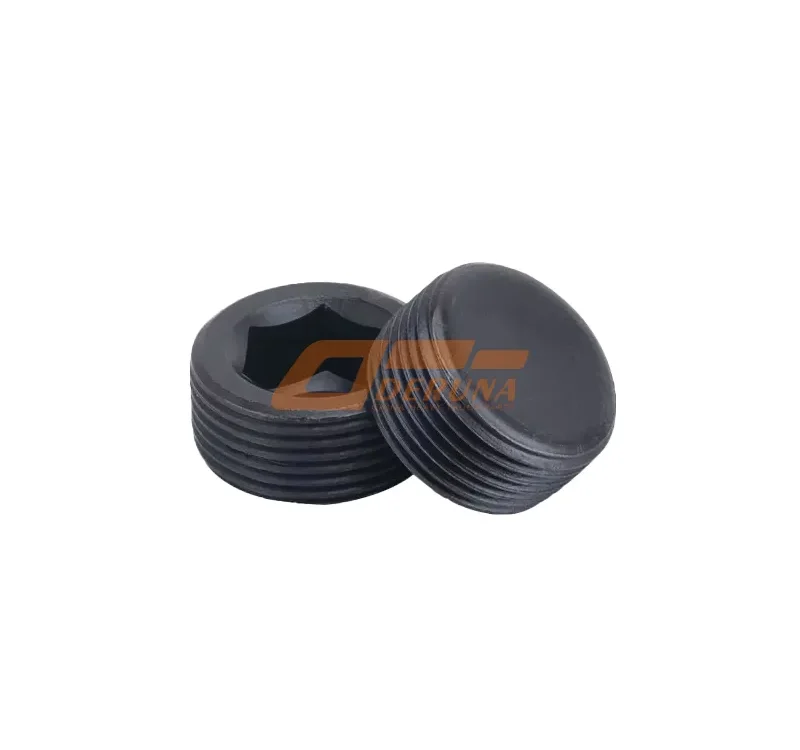 DG958-07010 Plug