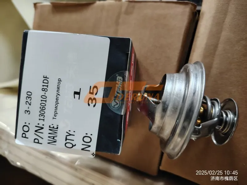 1306010-81DF Thermostat