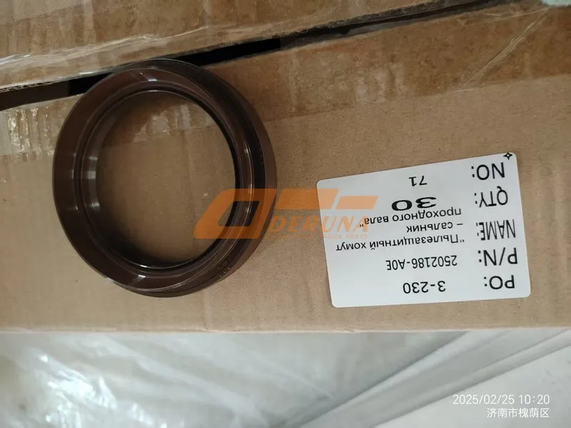 Oil Seal