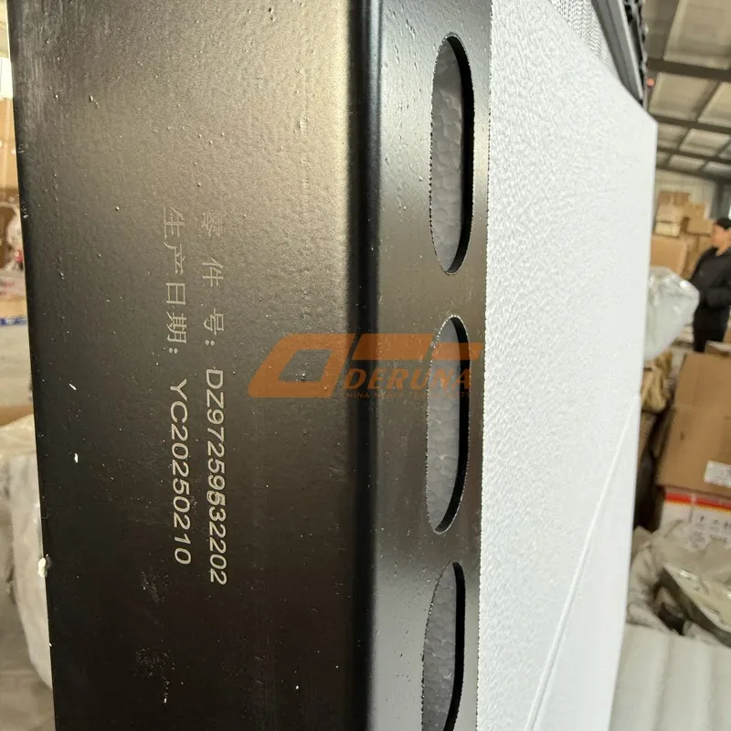 DZ97259532202 Radiator Spanish