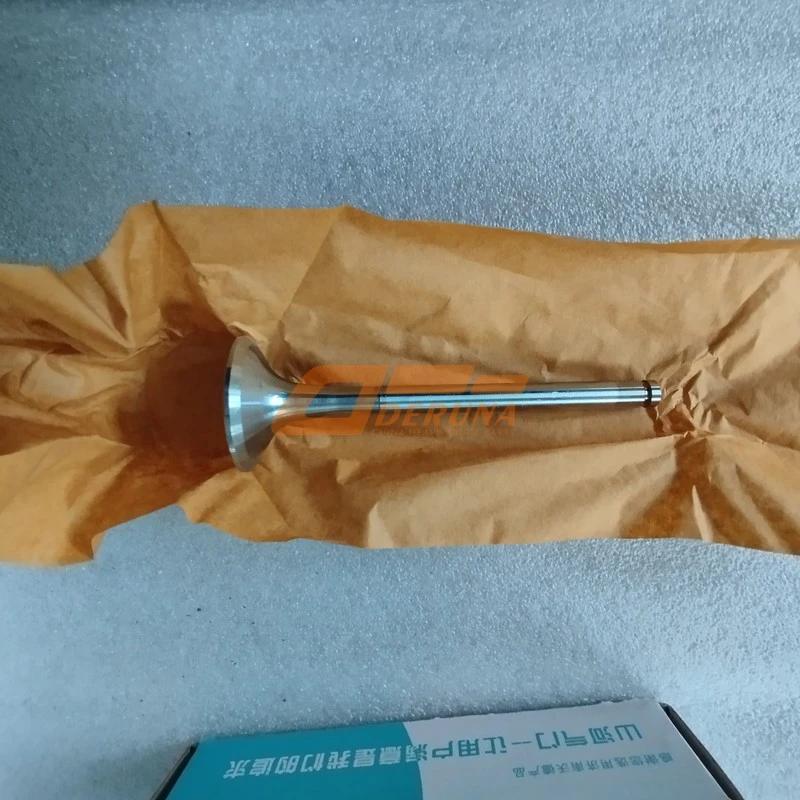 VG1560051001 Intake And Exhaust Valves