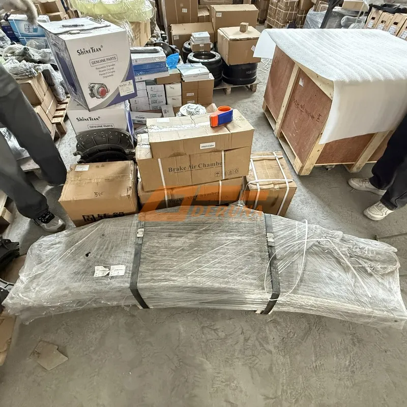 WG9725520286 Rear Steel Plate Assembly