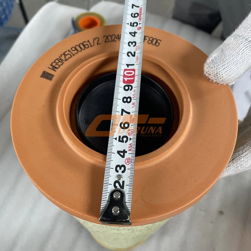 WG9X25190061 Air Filter