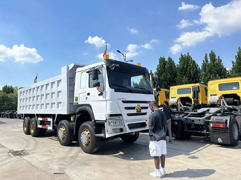 Africa Howo Dump Truck Parts Maintenance