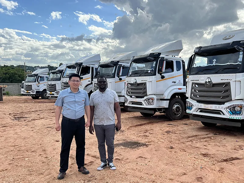 Africa Sinotruk Howo Truck Parts-3