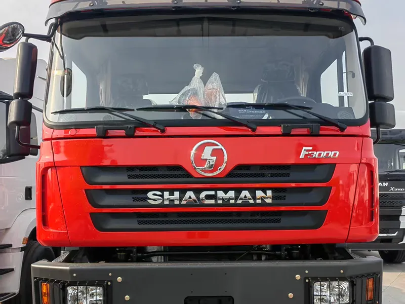 Senegal Shacman F3000 Maintenance Workshop