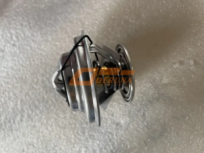 1001421004 Thermostat