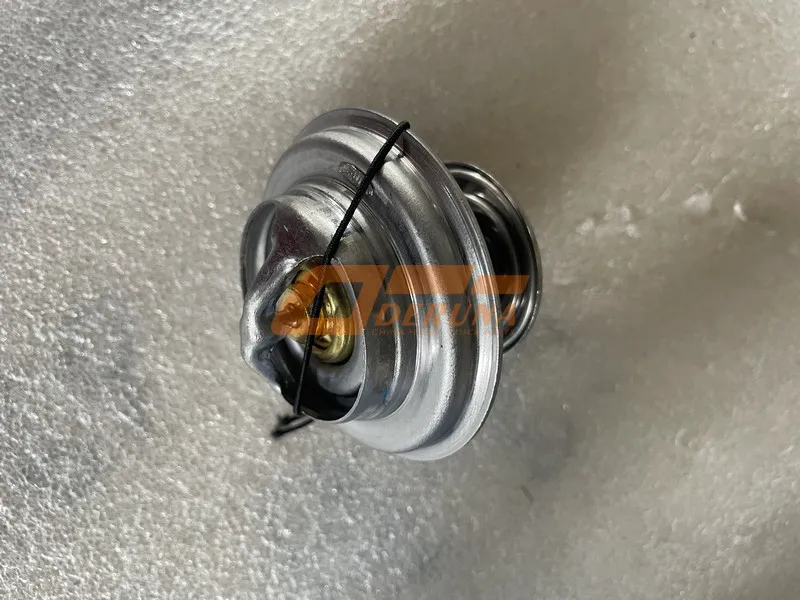 Термостат 1001421004