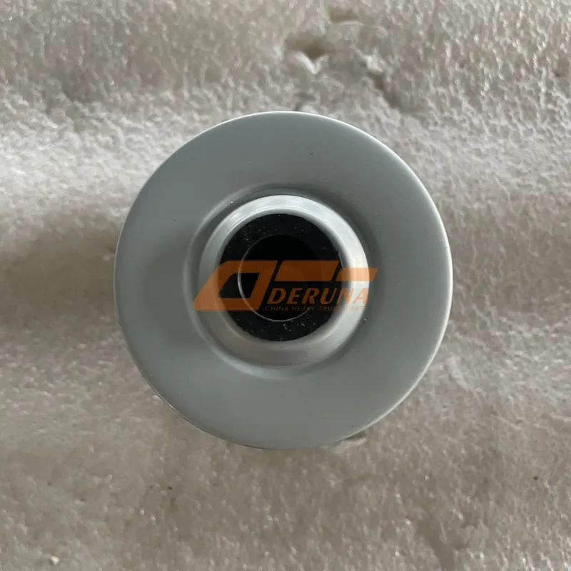 Fuel Filter Foton-1417011580002