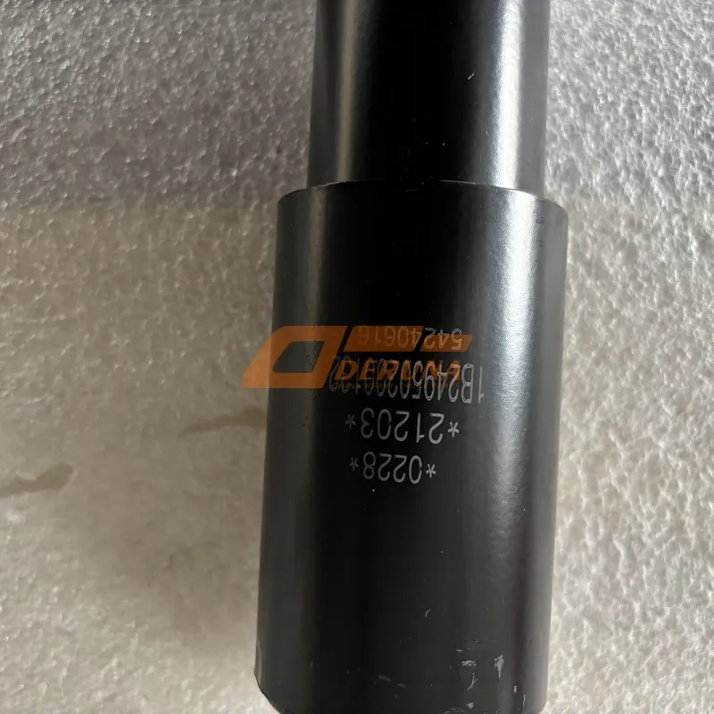 Rear Absorbor Assy 1B24950200132