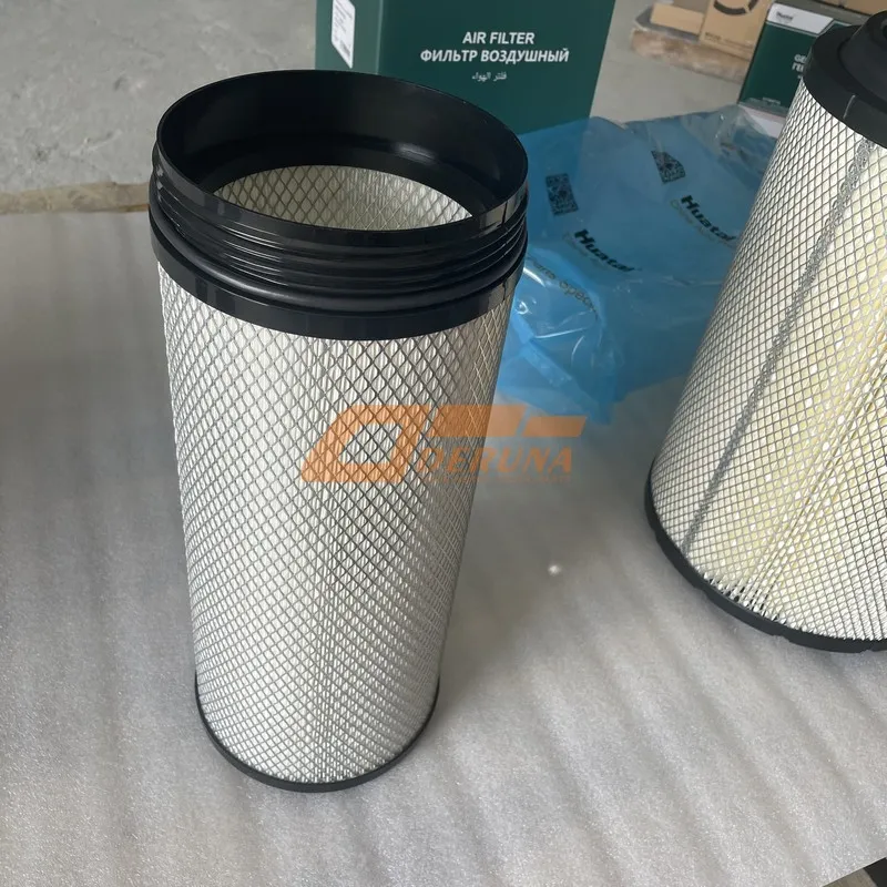 Elemento del filtro de aire (2841) WG9725190102+0103