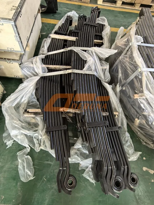 131699000039A001 Front Springs