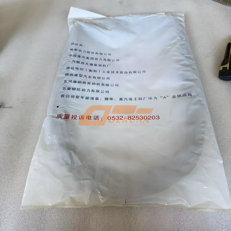 BY1000409094 Oil Pan Gasket