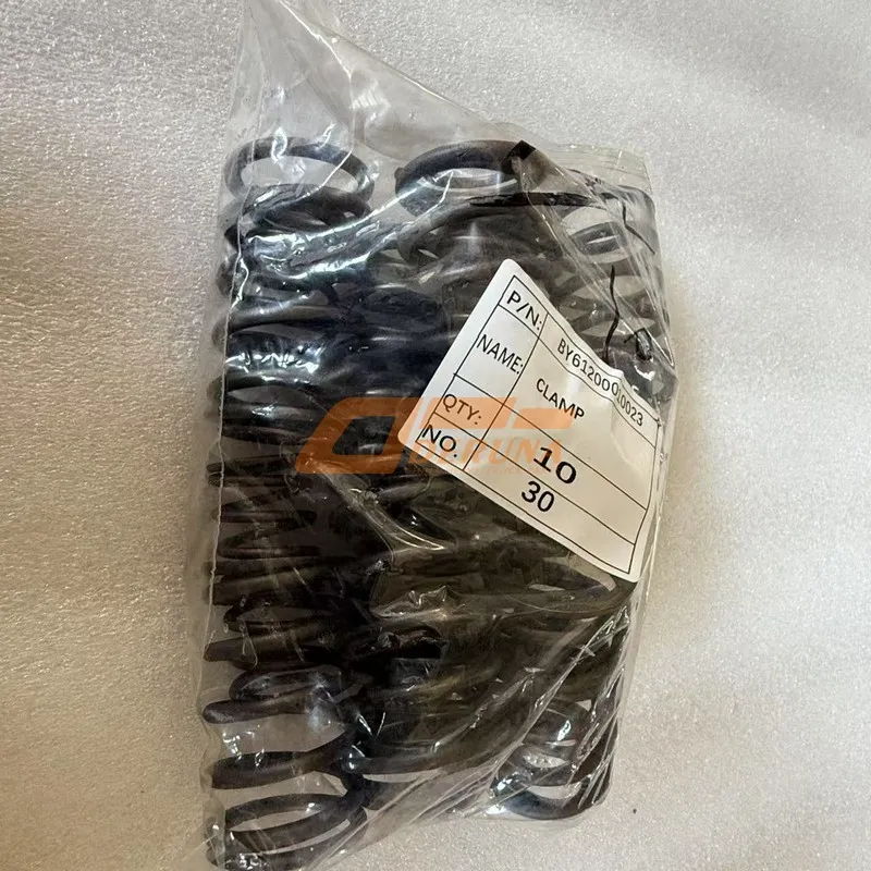 BY61200010023 Spring