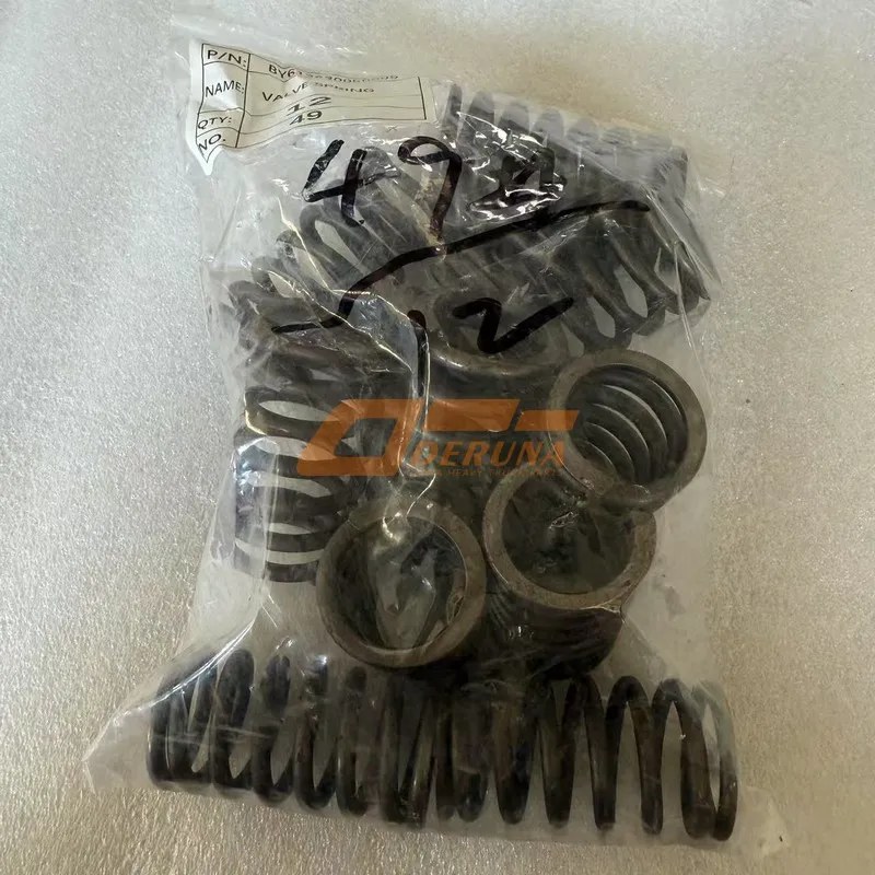 BY612630050005 Valve Spring