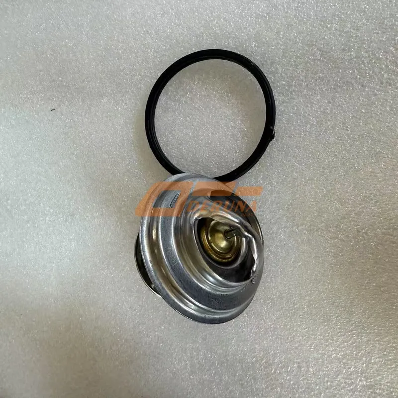 BY612630060894 Thermostat Assembly