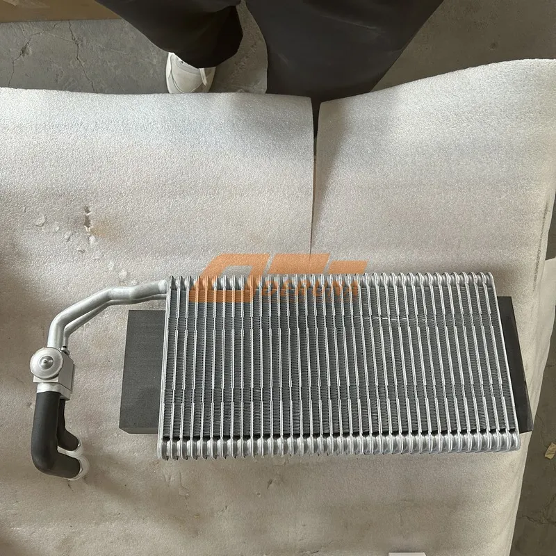 DZ13241821111 Evaporator Assembly