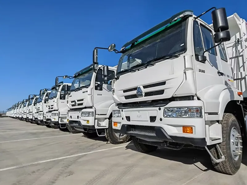 Sinotruk Heavy Truck Parts Team in Mexico