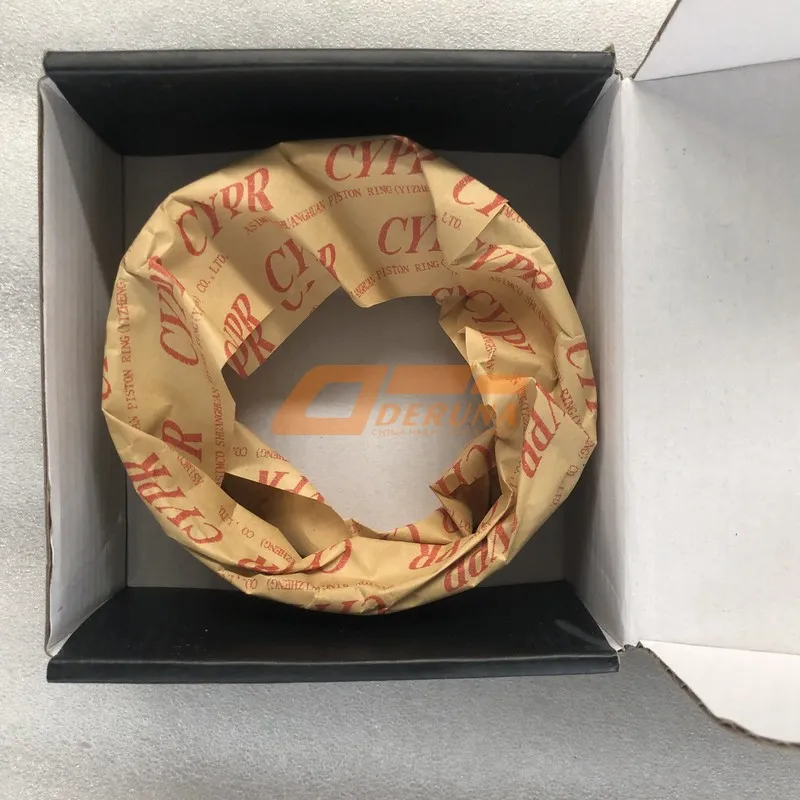 E0200-1004016* Piston Ring Assembly Spanish