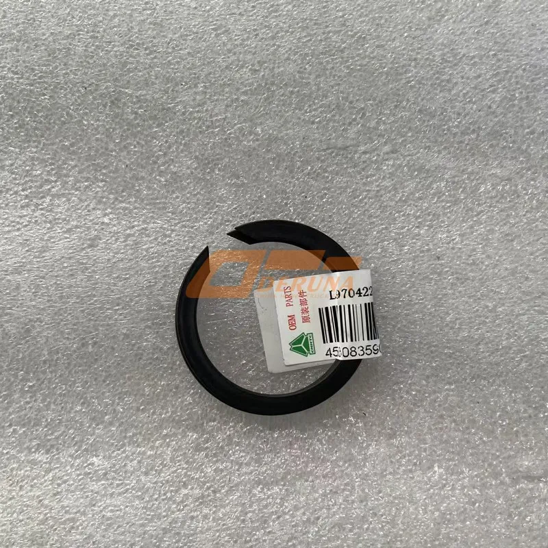 LG9704220002+214/1 Snap Ring