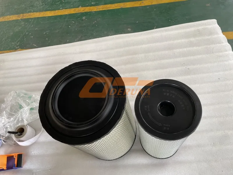 WG9725191700 Air Filter Assembly Spanish