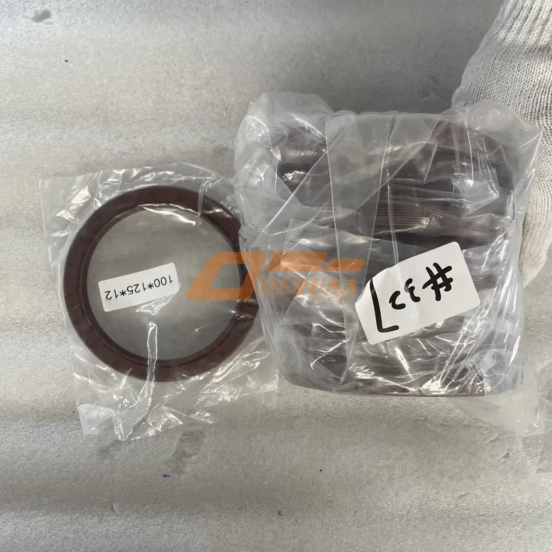 YC209-B100125PL Oil Seal 100X125