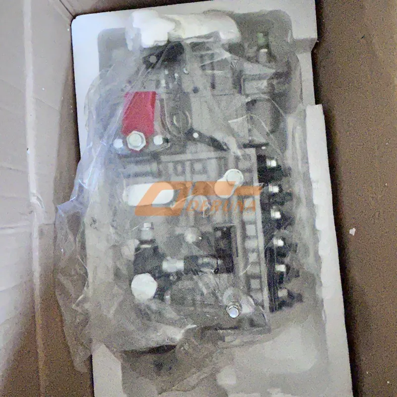 1011443445 Injection Fuel Pompe Sinotruck 430 Russian