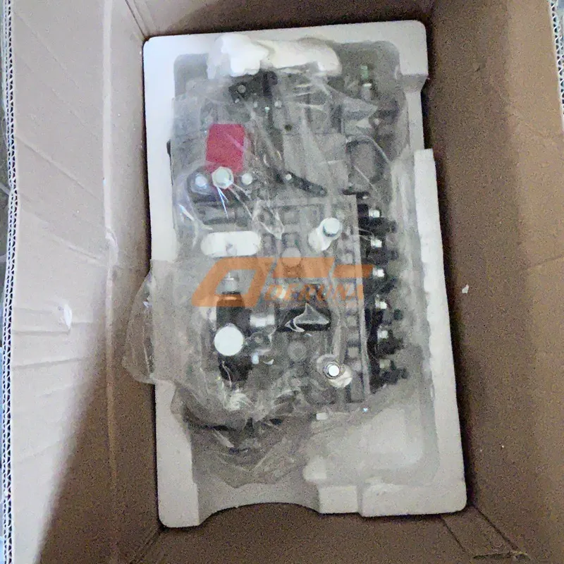 1011443445 Injection Fuel Pompe Sinotruck 430 Spanish