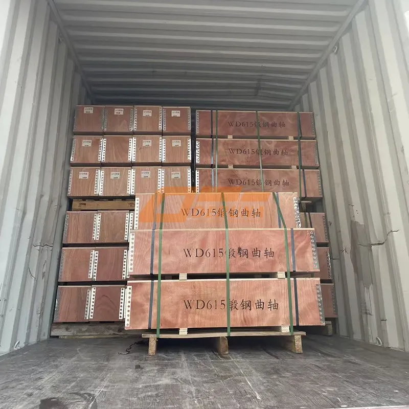 61560020024 Crankshaft Rdm-1050 Spanish